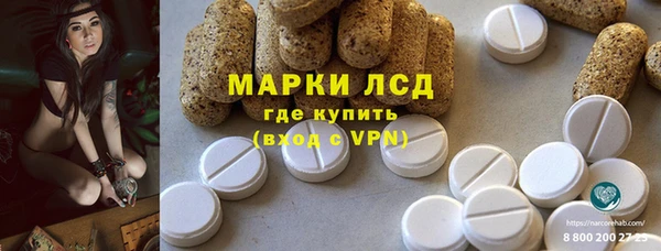 СК Алзамай
