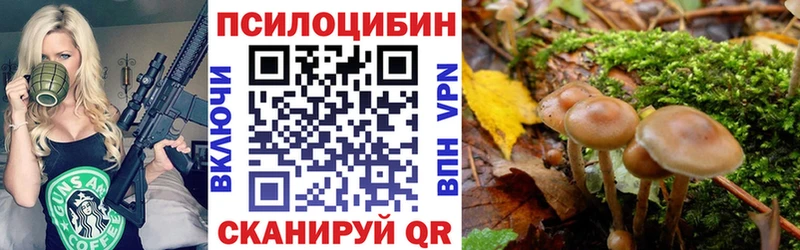 Галлюциногенные грибы мицелий  Петропавловск-Камчатский 